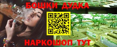 дмт Славгород