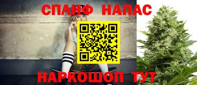 дмт Славгород