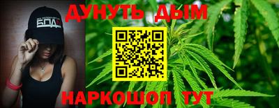 дмт Славгород