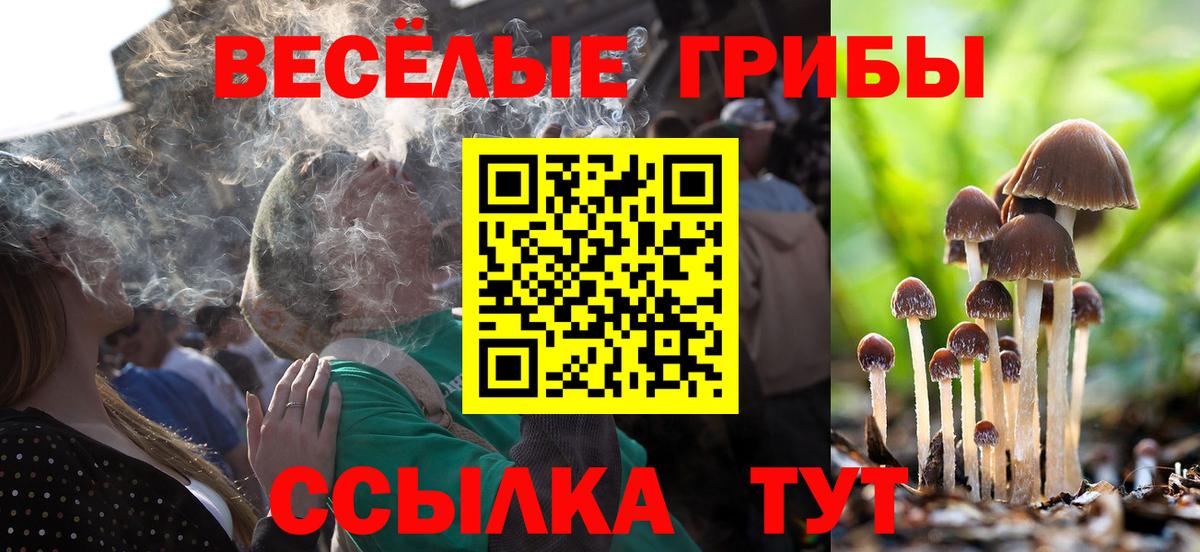 Псилоцибиновые грибы мухоморы  Вход с VPN  Новошахтинск 